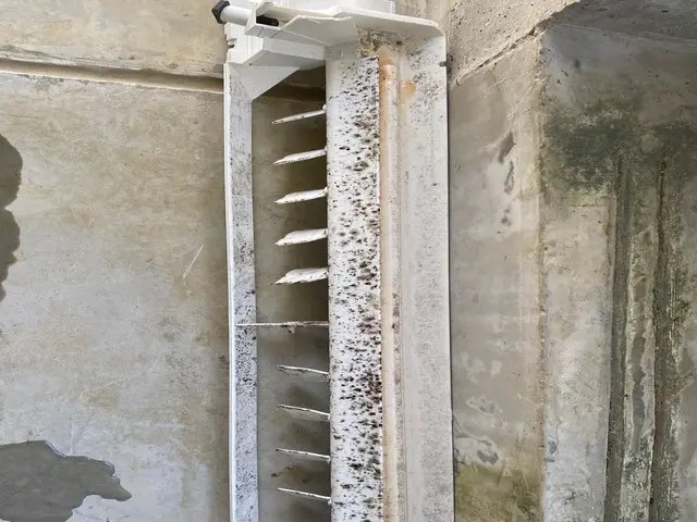 【埃っぽい】気になるエアコンの匂い改善します！サービスの画像