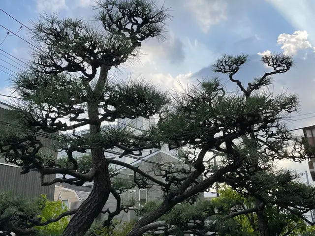 【女性スタッフ同行可◎】プロの技術でお困りごとを解決！ご要望にお応えします！サービスの画像