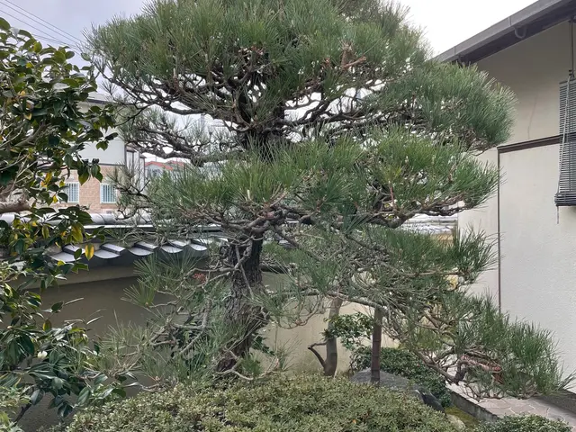 【女性スタッフ同行可◎】プロの技術でお困りごとを解決！ご要望にお応えします！サービスの画像