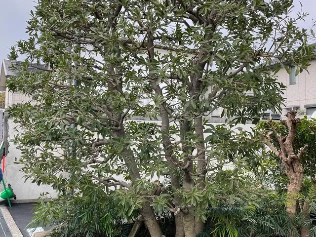 【女性スタッフ同行可◎】プロの技術でお困りごとを解決！ご要望にお応えします！サービスの画像