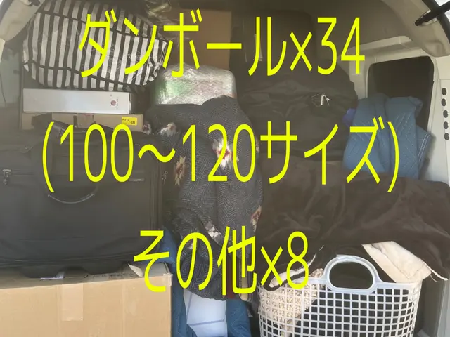 ★単身引越し★店長がすべて対応！作業実績100件以上◎安心格安引越しサービスの画像