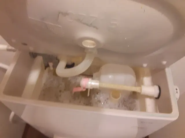 ◆秋田市中心・地域密着店◆女性スタッフ同行可能・アフターフォローもばっちりサービスの画像