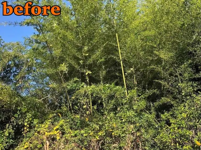 《業歴28年》職人親子でお伺い！スピーディーで丁寧な作業！※PayPay払い可能サービスの画像