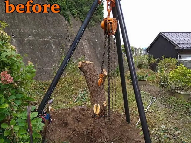 《業歴28年》職人親子でお伺い！スピーディーで丁寧な作業！※PayPay払い可能サービスの画像