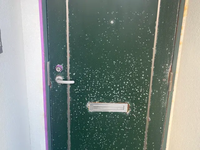 玄関ドア塗装サービスの画像