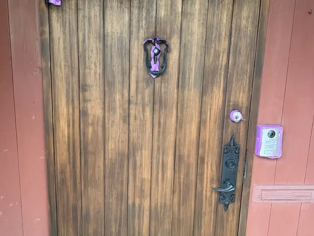 玄関ドア塗装サービスの画像