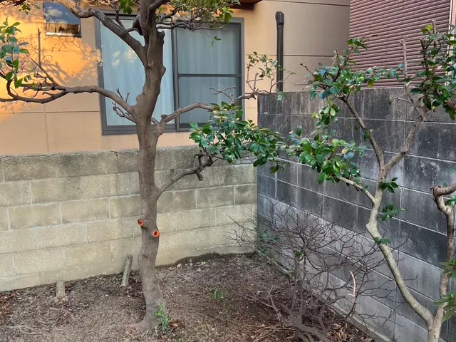 【業歴7年】クオリティとスピード両方重視の草むしりサービスサービスの画像