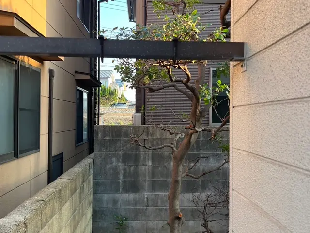 【業歴7年】クオリティとスピード両方重視の草むしりサービスサービスの画像