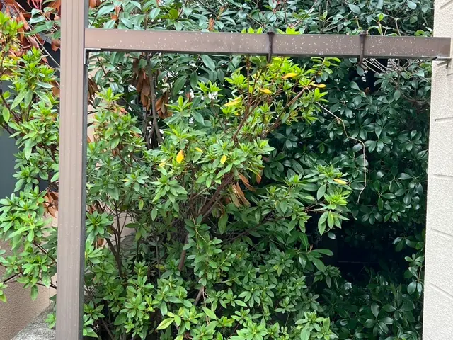 【業歴7年】クオリティとスピード両方重視の草むしりサービスサービスの画像