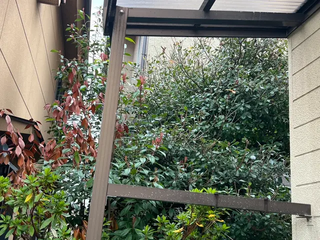 【業歴7年】クオリティとスピード両方重視の草むしりサービスサービスの画像