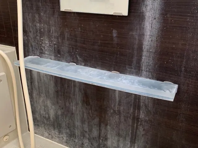 女性スタッフが伺います！浴室クリーニングサービスの画像