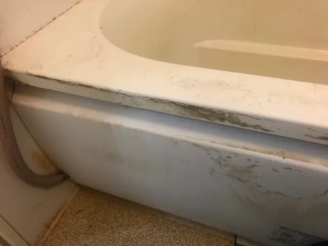 女性スタッフが伺います！浴室クリーニングサービスの画像