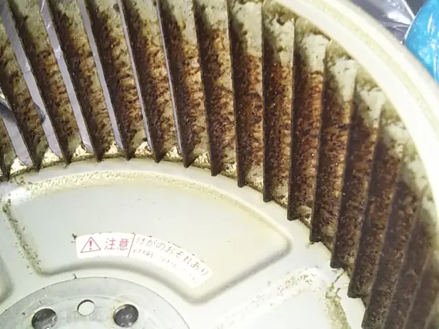 春限定価格・キッチン換気扇クリーニングセット！お得プランです！エコ洗剤で洗浄！サービスの画像