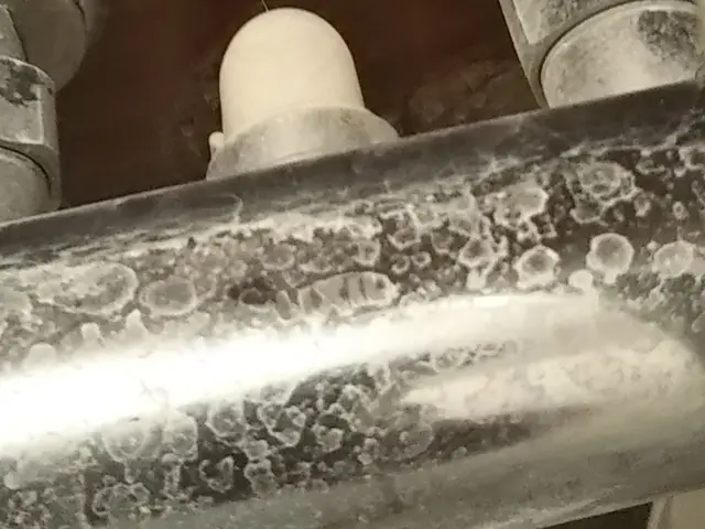 春限定価格・キッチン換気扇クリーニングセット！お得プランです！エコ洗剤で洗浄！サービスの画像