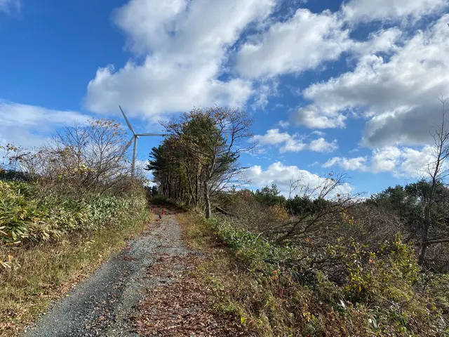 作業外注一切なし◎豊富な経験と知識で安心！迅速に伐採対応いたしますサービスの画像