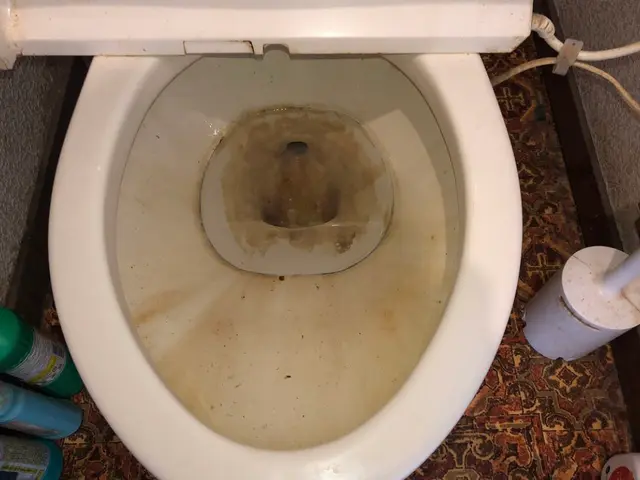 ♪トイレピカピカクリーニング♪豊富な経験と知識で安心！しっかり落とします！サービスの画像