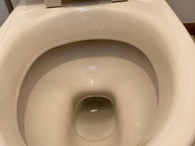 ♪トイレピカピカクリーニング♪豊富な経験と知識で安心！しっかり落とします！サービスの画像