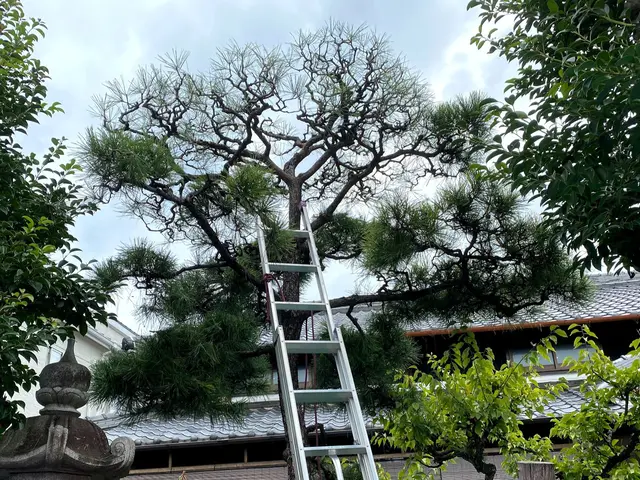 100％自社対応◎豊富な経験と知識で安心◎対応地域外もご相談ください！サービスの画像