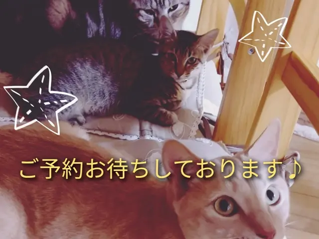 【神奈川発】家庭用壁掛けエアコンのガス漏れ修理を行っておりますサービスの画像