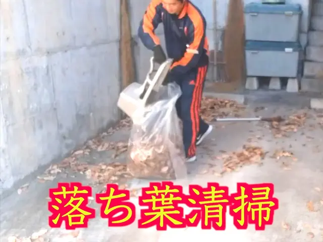 3300円/10㎡〜落ち葉お掃除！駐車場、雨樋、側溝、池、マンション定期清掃に！サービスの画像