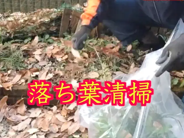 3300円/10㎡〜落ち葉お掃除！駐車場、雨樋、側溝、池、マンション定期清掃に！サービスの画像