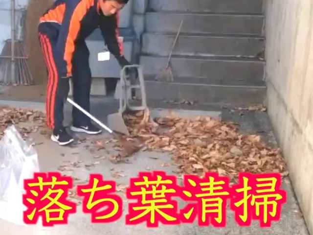 3300円/10㎡〜落ち葉お掃除！駐車場、雨樋、側溝、池、マンション定期清掃に！サービスの画像