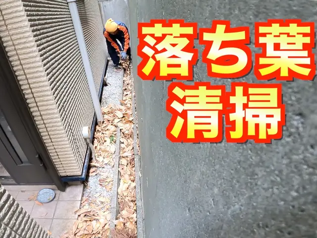3300円/10㎡〜落ち葉お掃除！駐車場、雨樋、側溝、池、マンション定期清掃に！サービスの画像