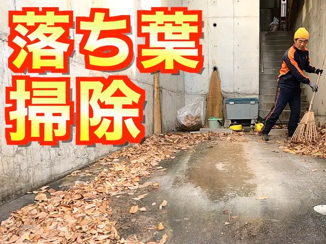 3300円/10㎡〜落ち葉お掃除！駐車場、雨樋、側溝、池、マンション定期清掃に！サービスの画像