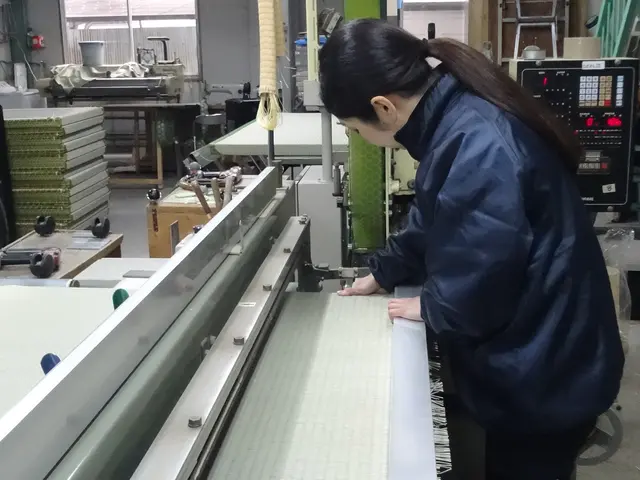 中国産畳表の張替《女性スタッフ対応可能！P代負担します》サービスの画像