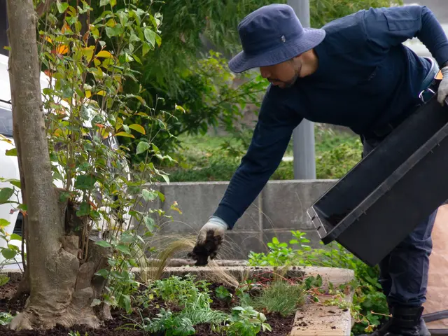 樹木を植え替えますサービスの画像