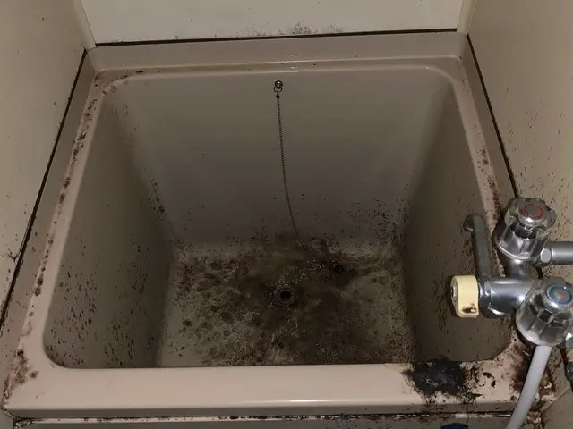 ＜広島市発＞汚れに適した洗剤でカビ、水垢を徹底除去！サービスの画像