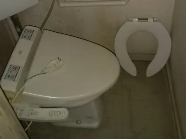 ウォシュレット取外しサービスの画像