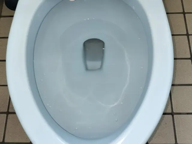 トイレクリーニングサービスの画像