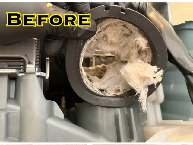 新サービス価格♪乾燥機能も見違えるほど復活します！サービスの画像