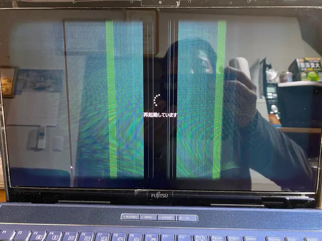 パソコンのデータ復旧、液晶パネルの交換などなどサービスの画像