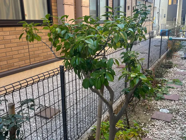 ☆女性スタッフ同行可☆地域外、時間外も対応可☆サービスの画像