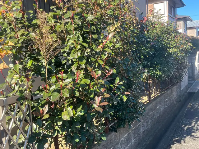 ☆女性スタッフ同行可☆地域外、時間外も対応可☆サービスの画像