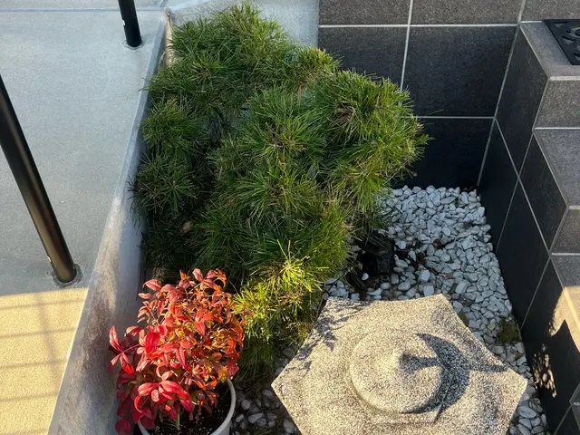 ☆女性スタッフ同行可☆地域外、時間外も対応可☆サービスの画像