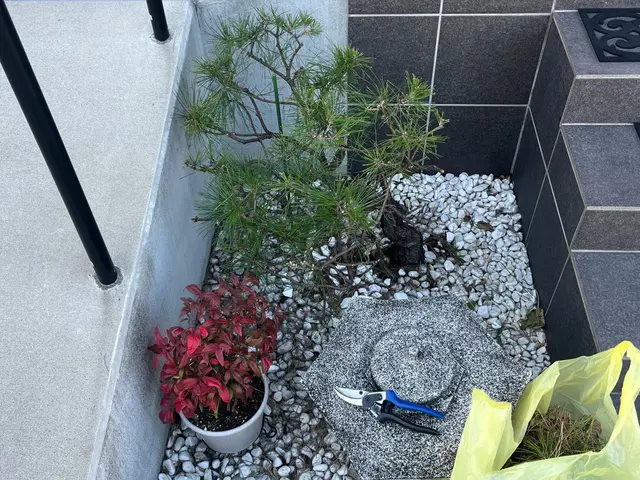 ☆女性スタッフ同行可☆地域外、時間外も対応可☆サービスの画像