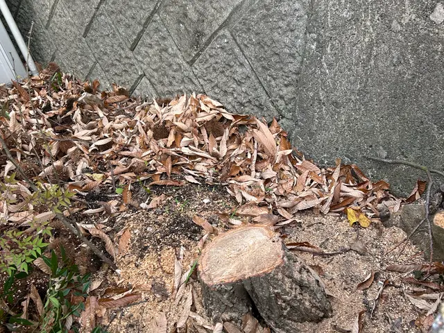 【リピーター率抜群！】お客様ファーストで頑張ります！サービスの画像