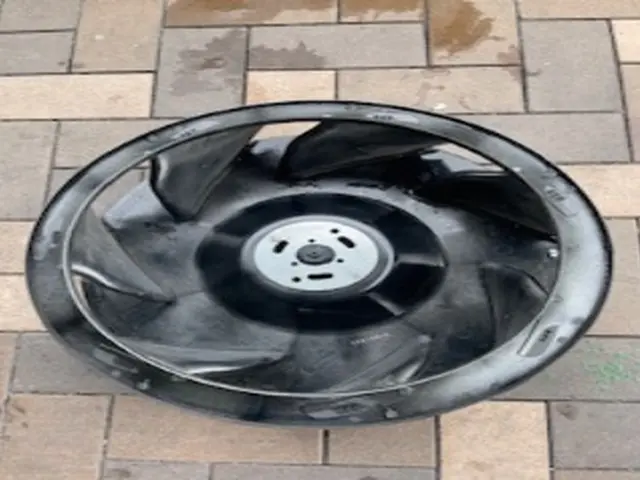 【11月限定割引キャンペーン開催中】【顧客満足度98%】【1月空きあり】サービスの画像