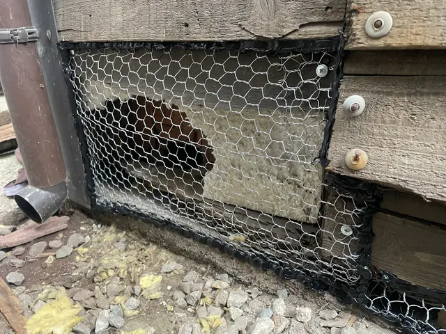 【日本防除品質管理機構 - 優良事業者認定店】が手掛ける害獣駆除!!サービスの画像