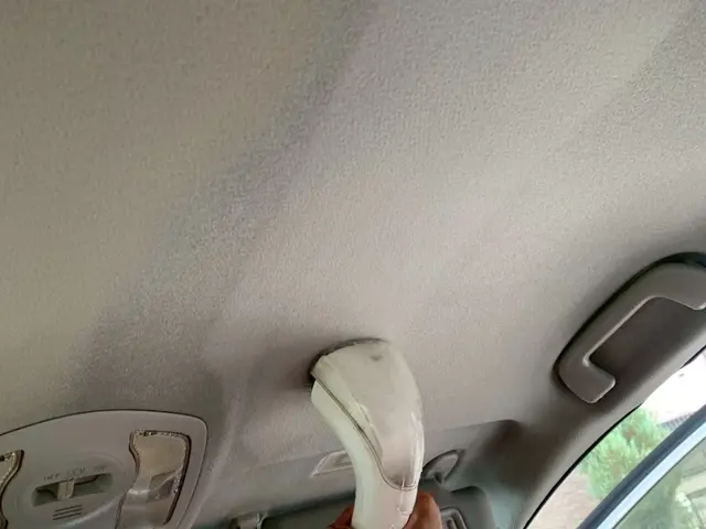 【車内清掃専門店】嘔吐/ペット/粗相/タバコ臭/ダニ駆除はお任せ下さいサービスの画像