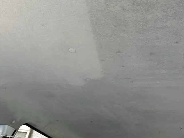 【車内清掃専門店】嘔吐/ペット/粗相/タバコ臭/ダニ駆除はお任せ下さいサービスの画像