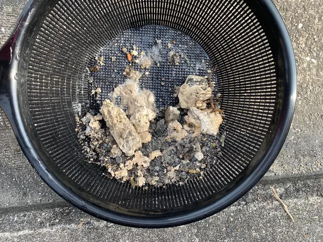 キッチンの詰まり改善！滝のごとく快適な排水へ！お客様目線のサービスがモットーですサービスの画像