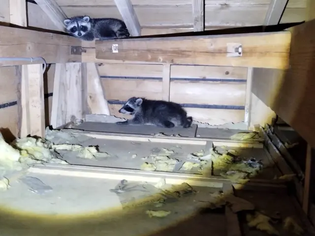 大手実績あり！迅速・丁寧な対応で安心を提供する専門家☆サービスの画像