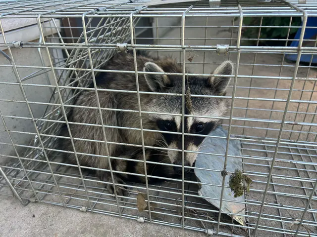 大手実績あり！迅速・丁寧な対応で安心を提供する専門家☆サービスの画像