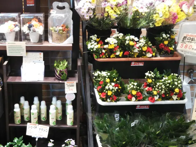 ※荷物が重くて買いたい物を全て買えない日用食品・生活用品・家具・家電等代行しますサービスの画像