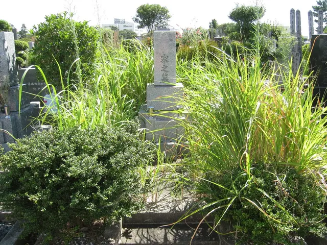 《女性スタッフ同行可》あなたに、ご先祖様に、届くサービスを！サービスの画像