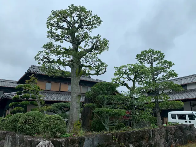 出店記念キャンペーンで地域最安値に挑戦中！ご近所感覚で頼める庭師を目指してます！サービスの画像